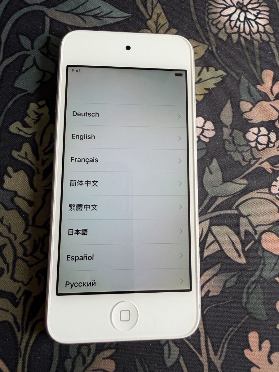 Apple Lecteur media portable: Apple iPod touch 6 silver - 64GB – D'occasion à Nidau par feierabend_verkauf