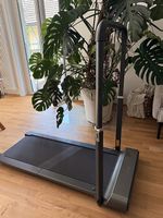 Laufband / Walkingpad