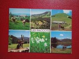 Chatel St-Denis FR les Paccots mehrbildrig (803)