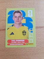 Panini WM 2026 SWE 14