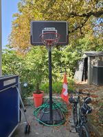 Panier de basket professionnel complet