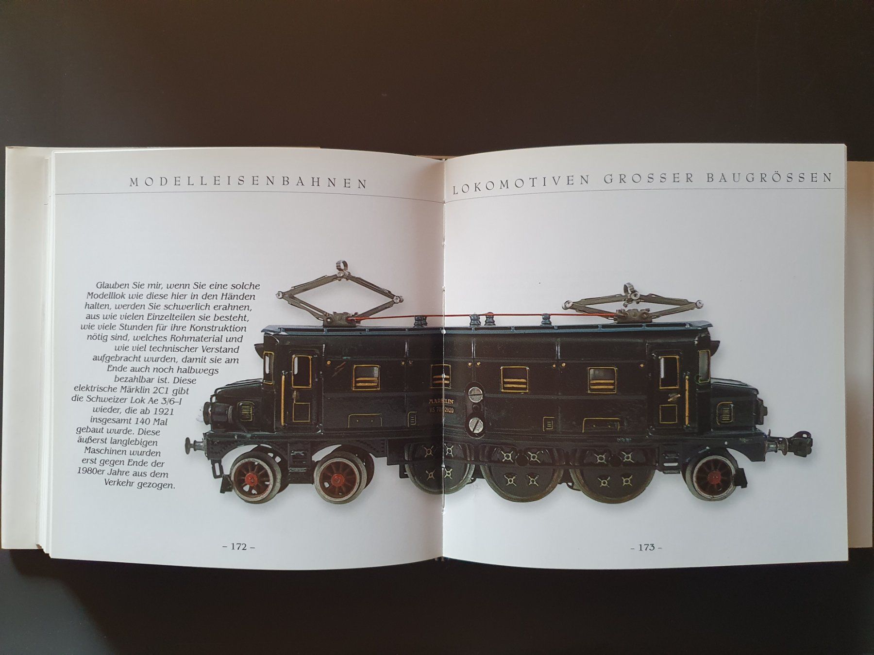 Libri: Fotobuch "Modelleisenbahnen", neuwertig! – Nuovo (secondo la descrizione) da Rheinfelden venduto da PRINZ4L 2