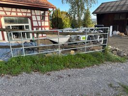 Weidezauntor / Tor / Gatter