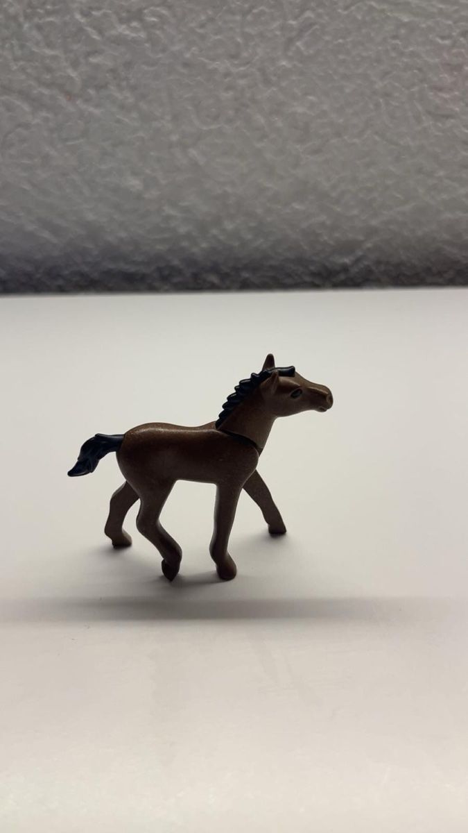 Playmobil Giocattoli: Poulin playmobil !!! – Usato da Avenches venduto da Rose-rose 1