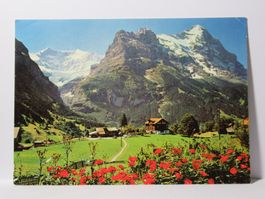 Grindelwald , Fiescherhörner