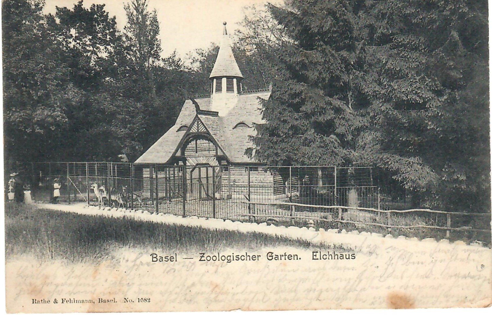 Cartoline postali: Basel - Zoo mit Elchhaus - 1902 – Usato da Zweisimmen venduto da jakobsweg