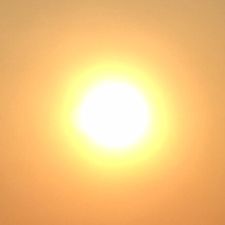 Profile image of _Daisy1