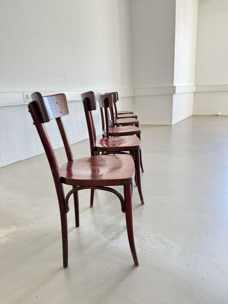 Thonet Sedie: 6 antike Thonet-Stühle, restauriert – Usato da Grenchen venduto da Design-Outlet 3