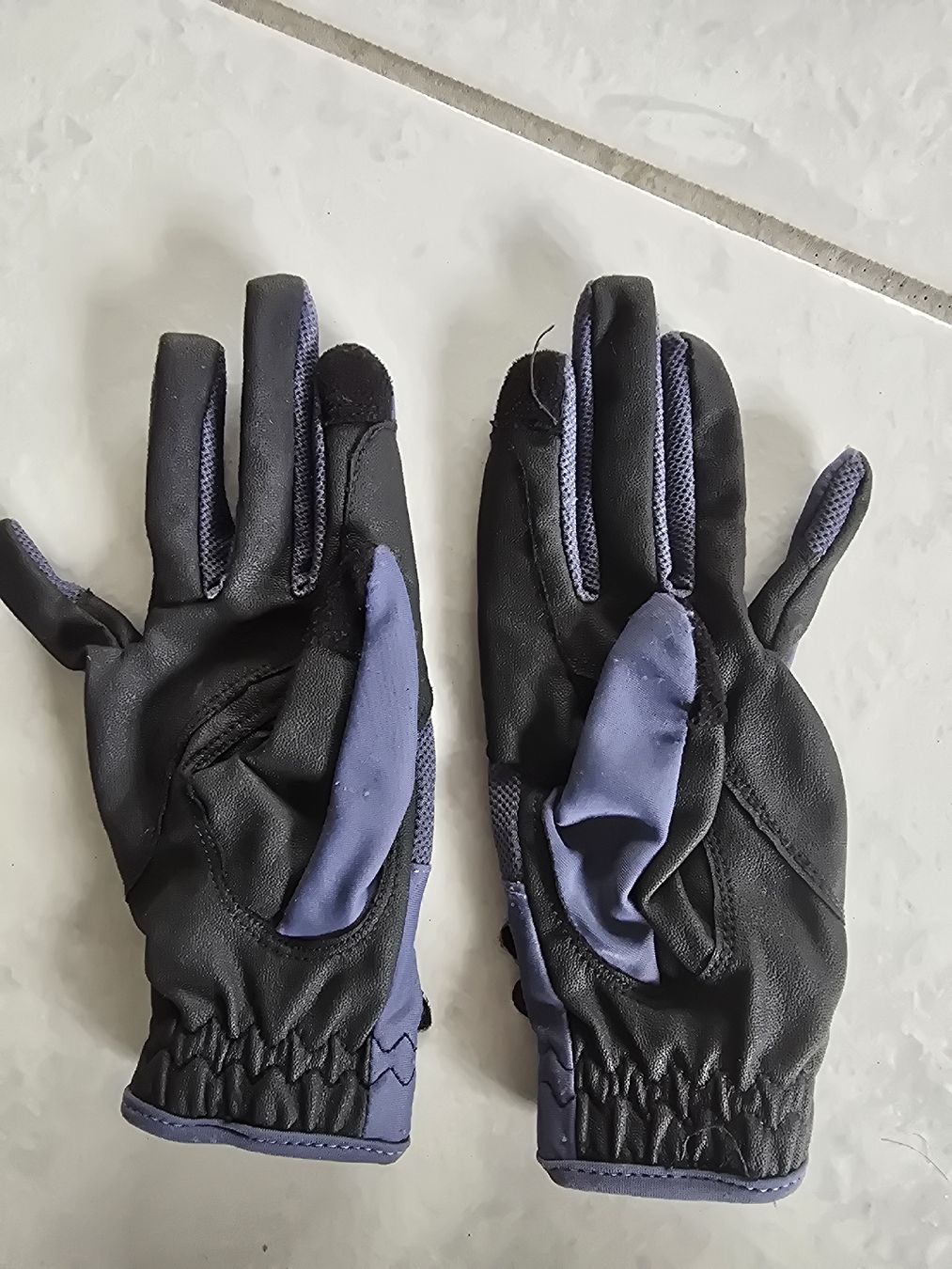 Guanti: Reithandschuhe – Usato da Lostorf venduto da Venice16 1