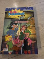 Bibi Blocksberg Die Hexenschule Schneider Buch Zustand gut