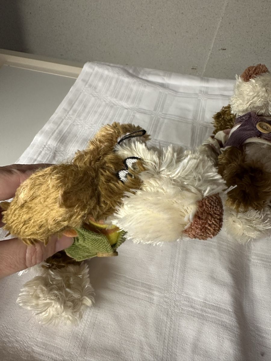 Jouets: Federmäppchen und 2 stk Plüsch (wolfi) – Neuf avec emballage d'origine à Sevelen par Stopglobal. 4