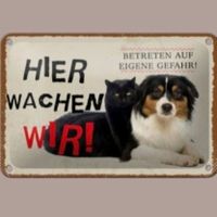 🔥 HIER WACHEN WIR Hund/Katze Blechschild 🎀 12x18cm OVP🔥