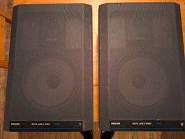 Philips Boxen 100Watt (Sicken defekt)