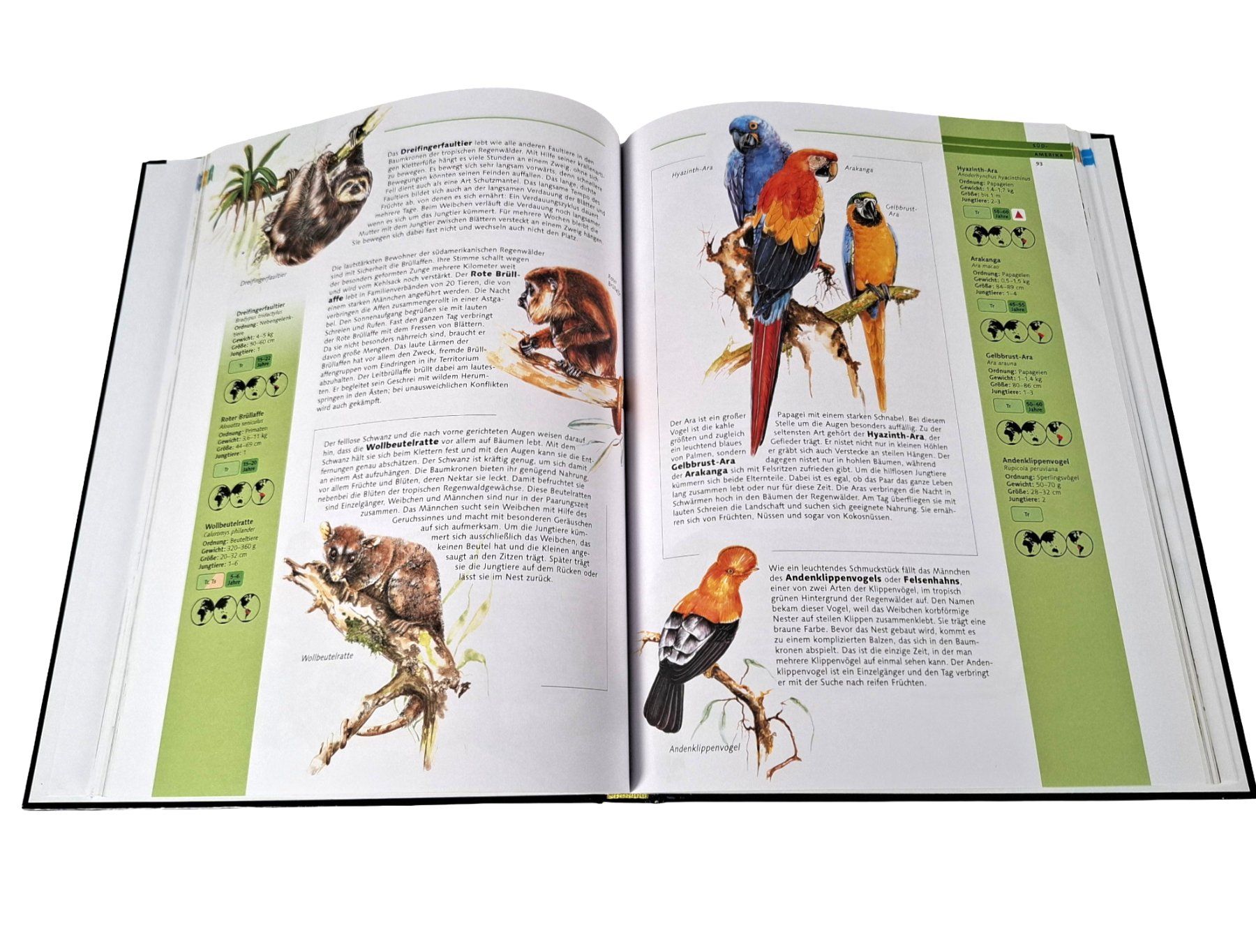 Libri: SCHMID Buch Lexikon der Tiere – Usato da Wil SG venduto da Restwert_Wil 4