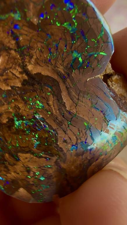 Pierres précieuses: Opal Australien Einzelstück  – D'occasion à Wigoltingen par SANDROPAL