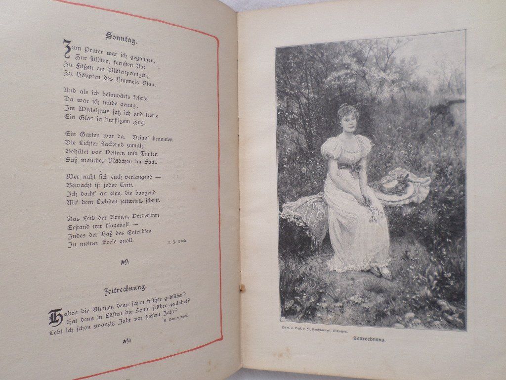 Libri: Rosen und Dornen – Usato da Liestal venduto da man_7bt6 6