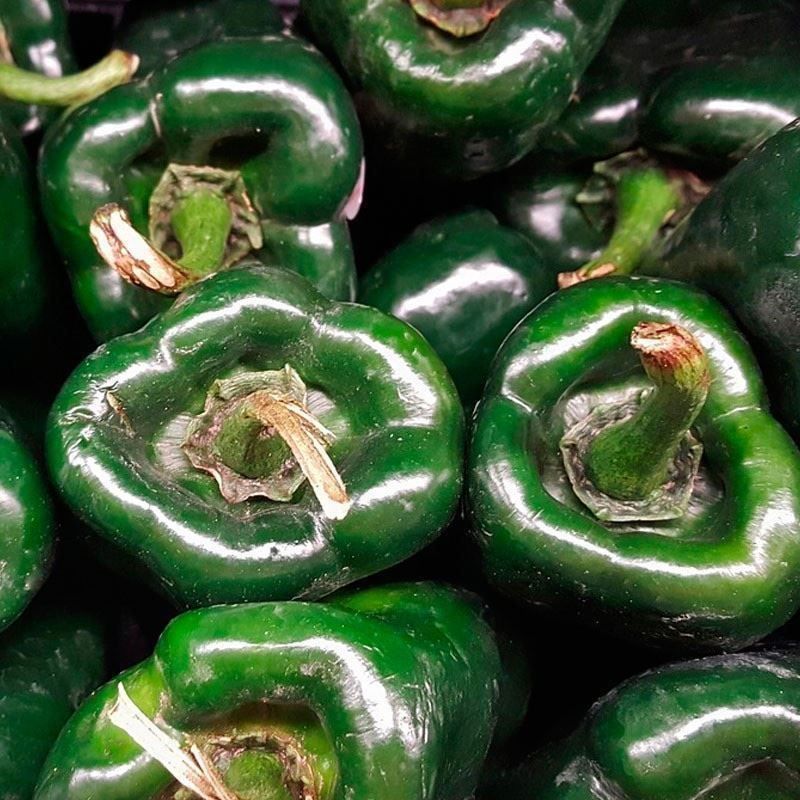 Piante & sementi: 50 Samen ANCHO GRANDE Poblano Chili – Nuovo (secondo la descrizione) da Ehrendingen venduto da VerveinaSamen 7
