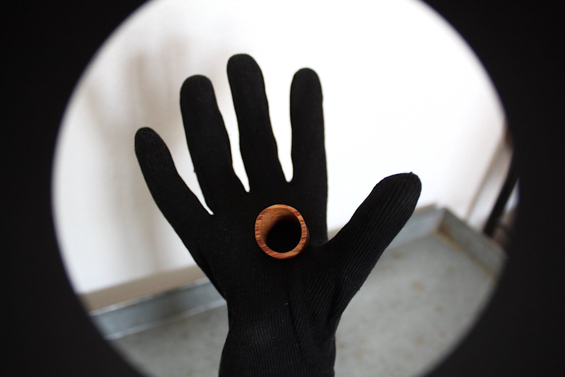 Ringe: Holz Ring Gr. 54 - 17.3 – Gebraucht aus Locarno von madame-tus-sauds 3