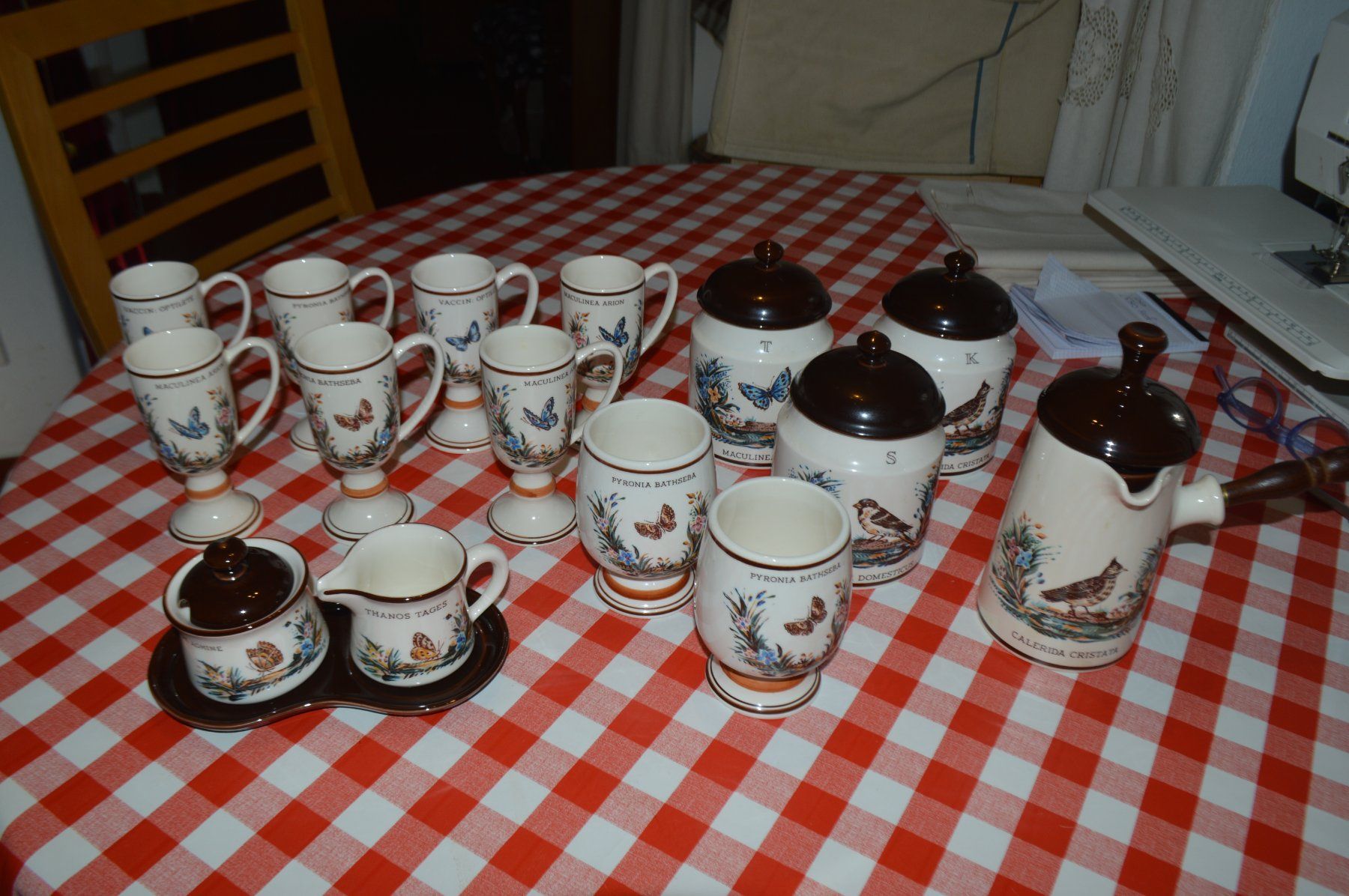 Set di piatti: servizio da caffè e/o te – Nuovo (secondo la descrizione) da Brione s. Minusio venduto da clk_8kjj