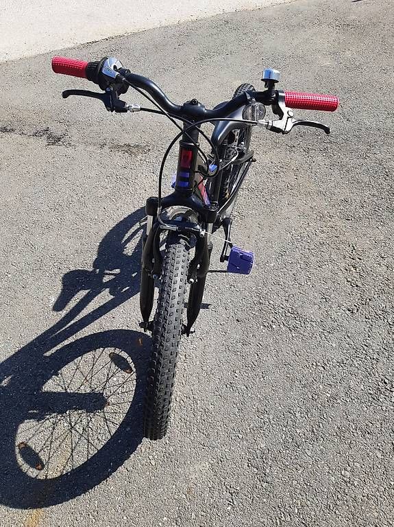 Trek Biciclette: VTT enfant Trek Precaliber 20" – Usato da Botyre (Ayent) venduto da oli_89x7 3