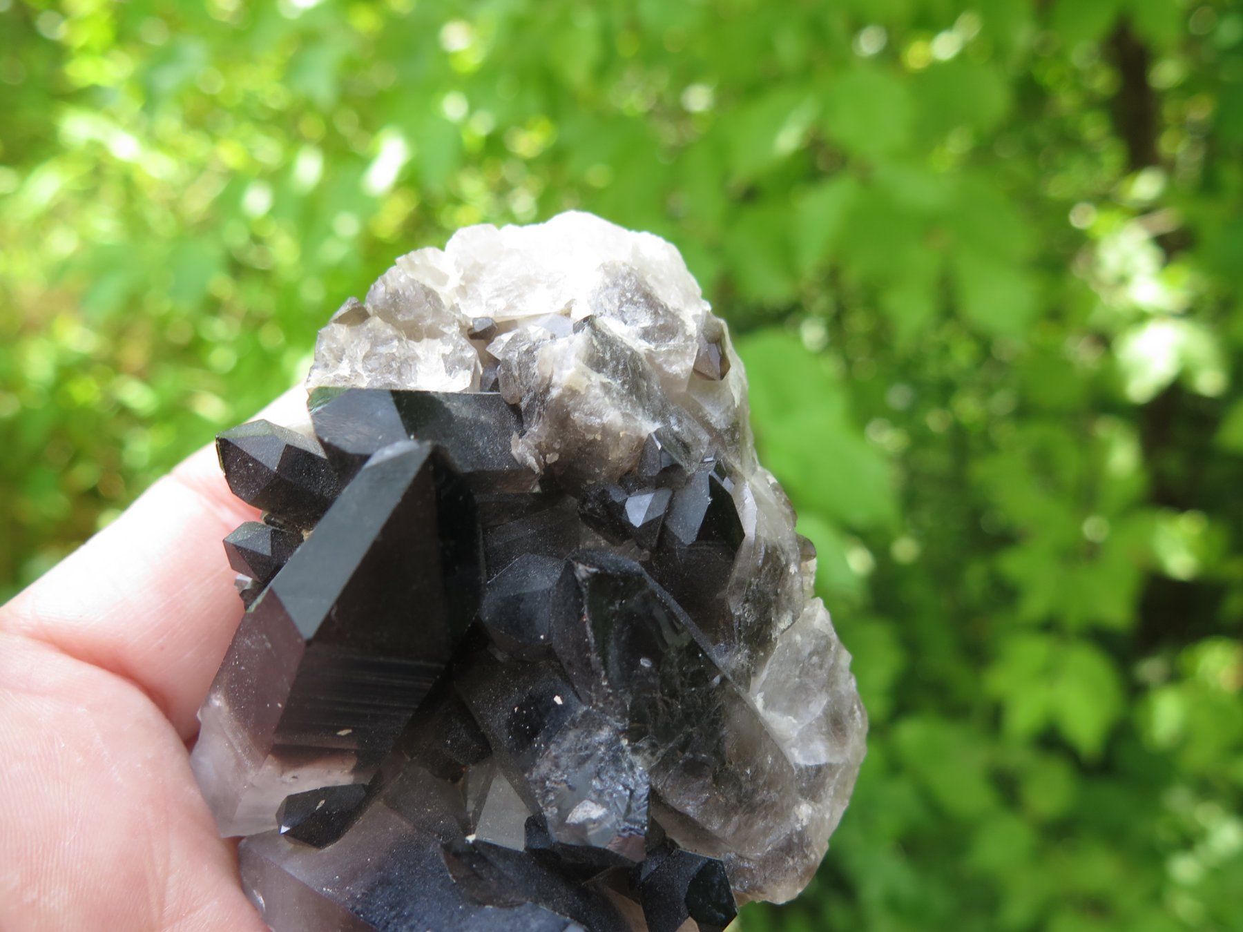 Mineralien & Heilsteine: Rauchquarz "Morion" von USA – Gebraucht aus Schaffhausen von Yamakana51L8736OQ8 7