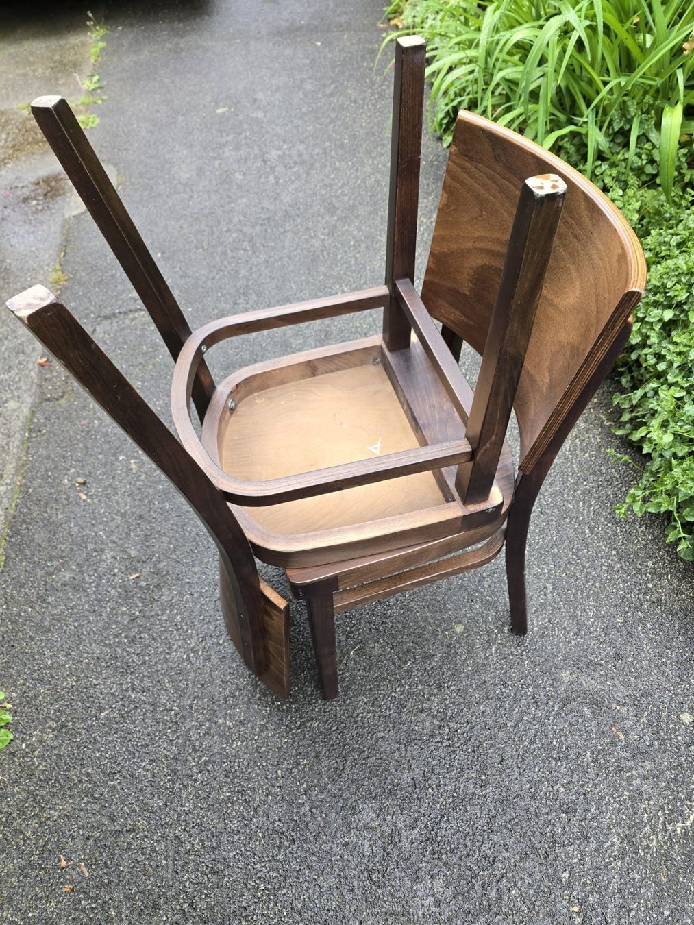 Sedie: Esszimmer Stühle aus Holz – Usato da Münsingen venduto da Schnagerli 2