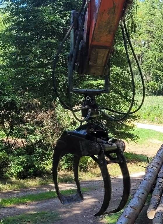 Pinze: Holzzange  – Usato da Steinhuserberg venduto da FK93 1
