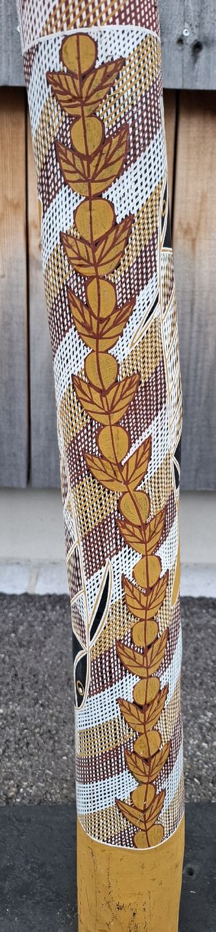 Instruments de musique: Didgeridoo – Neuf (Voir description) à Marbach SG par Mmyway 4
