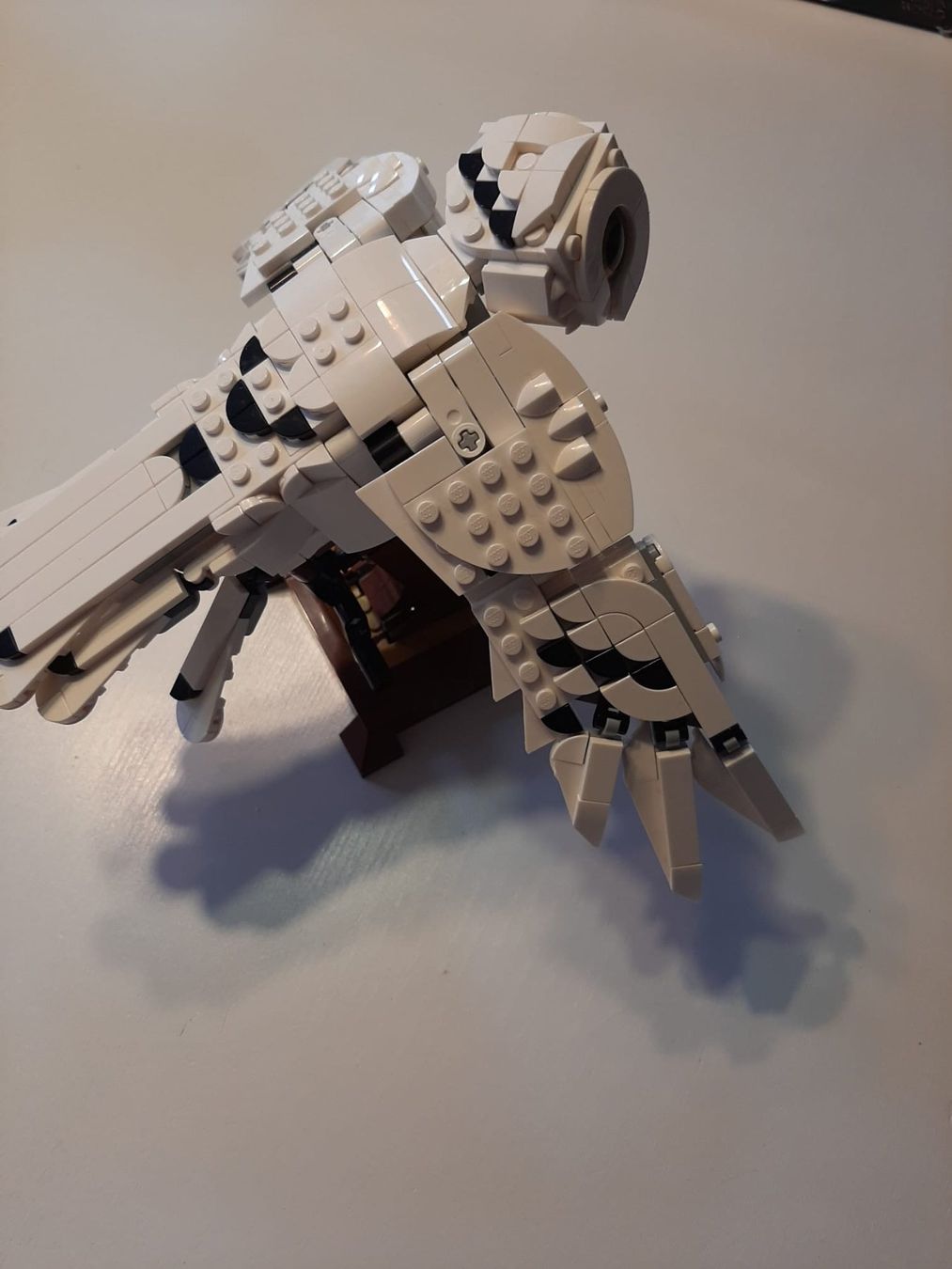 Lego Giocattoli: Lego Harry Potter Hedwig 75979 – Usato da Dübendorf venduto da sreneekz 3