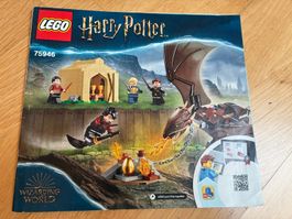 Harry Potter Lego: Der ungarische Hornschwanz (75946)