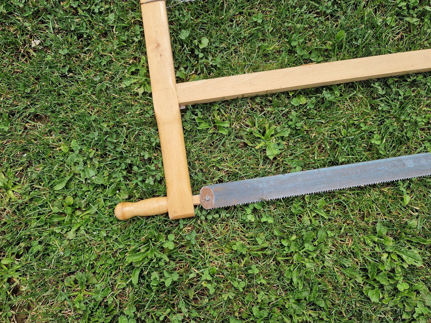 Seghe: Alte Hand Säge Holz Gespannt mit Drat – Usato da Niederbipp venduto da Trude04 1