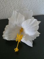 Haarklammer Frangipani Blume
