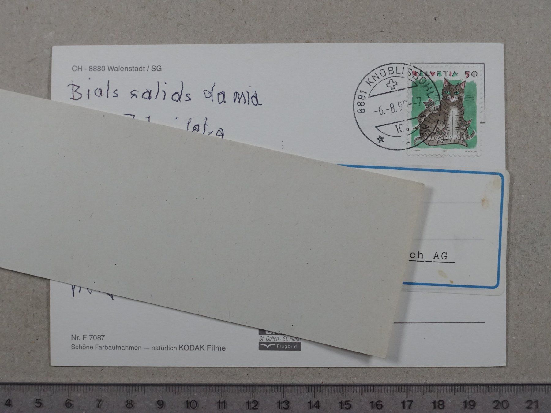 Cartoline postali: Walenstadt SG, Walensee – Usato da Lenzburg venduto da fh1 1
