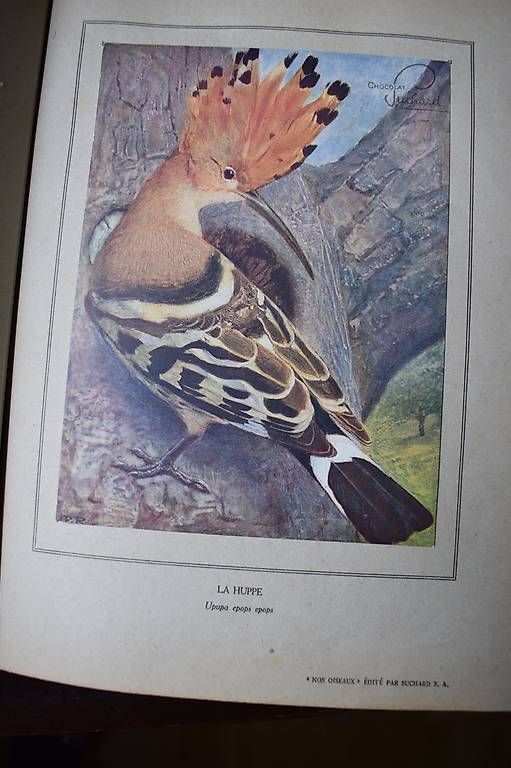 Libri: Paul Robert der Maler auf  FR. – Usato da Brügg BE venduto da Aristotolius 2