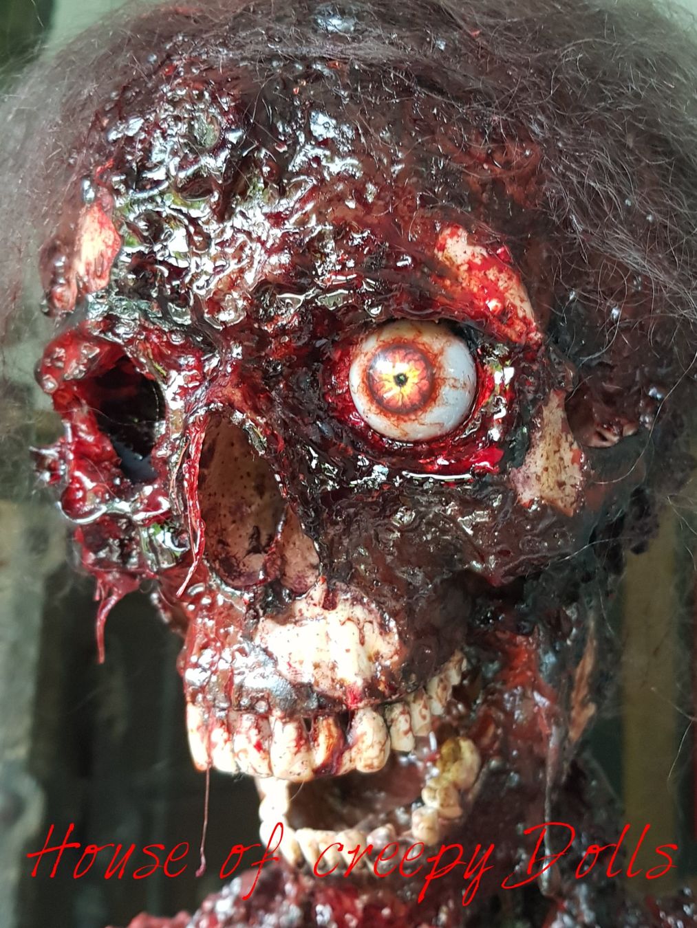 Tutte le decorazioni: HALLOWEEN / HORROR SKELETT FRED – Nuovo e nell'imballaggio originale da Root venduto da LifestyleAccessoires