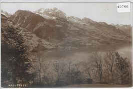 Wallensee