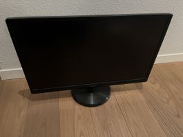 Asus Monitor 24“