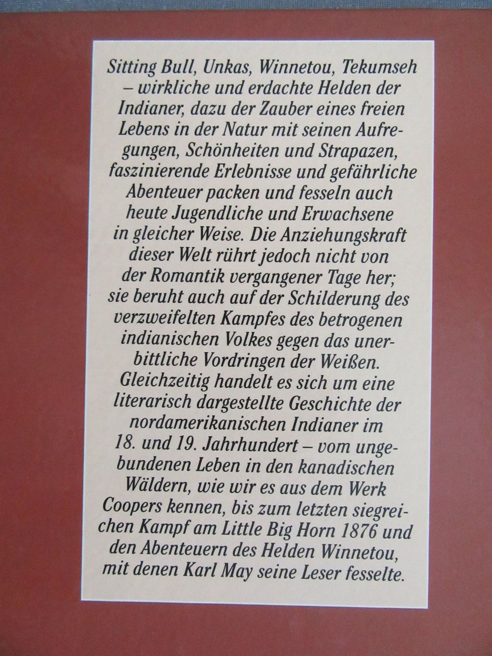 Livres: Die schönsten Indianergeschichten – D'occasion à Auenstein par Padabimbim 1