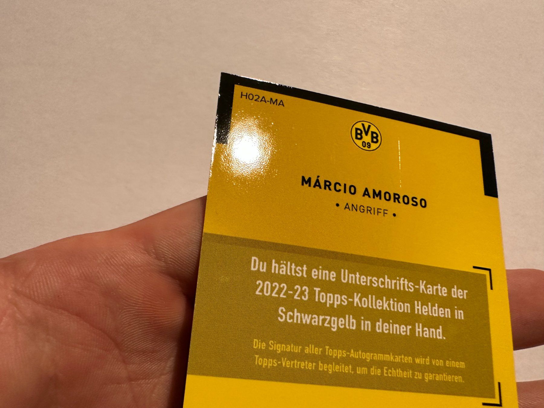 Panini Carte collezionabili: 2022 Topps BVB Set Marcio Amoroso Auto – Usato da Hagendorn venduto da Pokecollectorch 6