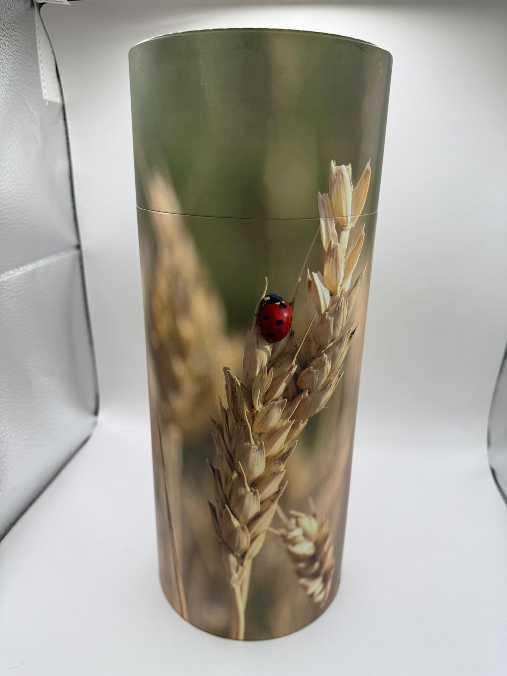 Vasi & Recipienti: Streuurne aus Karton – Nuovo e nell'imballaggio originale da Hünenberg venduto da nicolay27