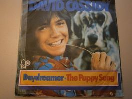 Vinyl-Single David Cassidy - Daydreamer