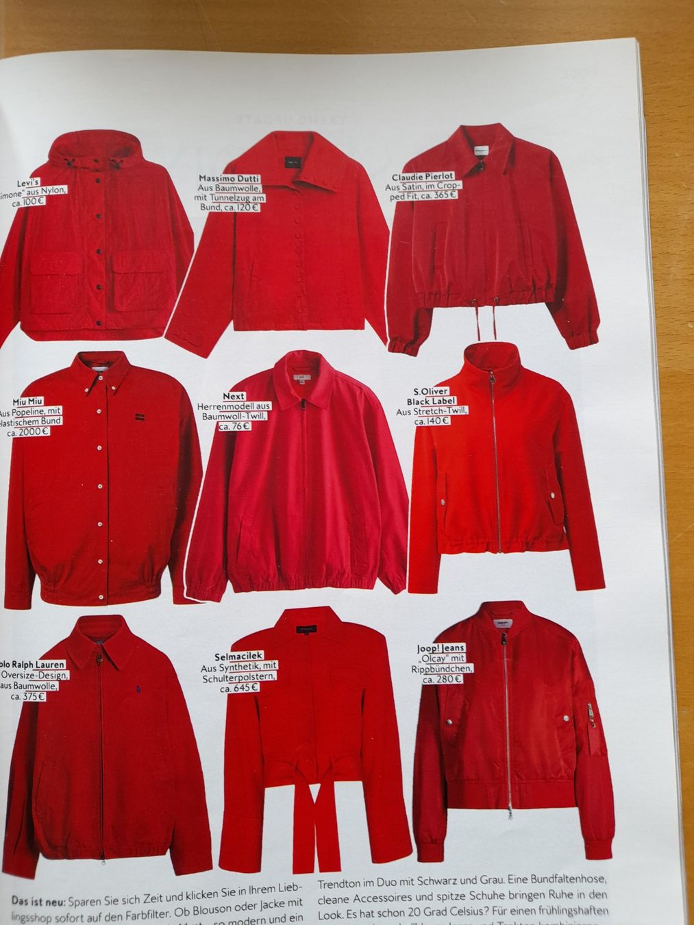 Giacche: Bomberjacke . Leonardo . S . echtes Leder . – Usato da Leuggelbach venduto da schmetterlings-fee 6