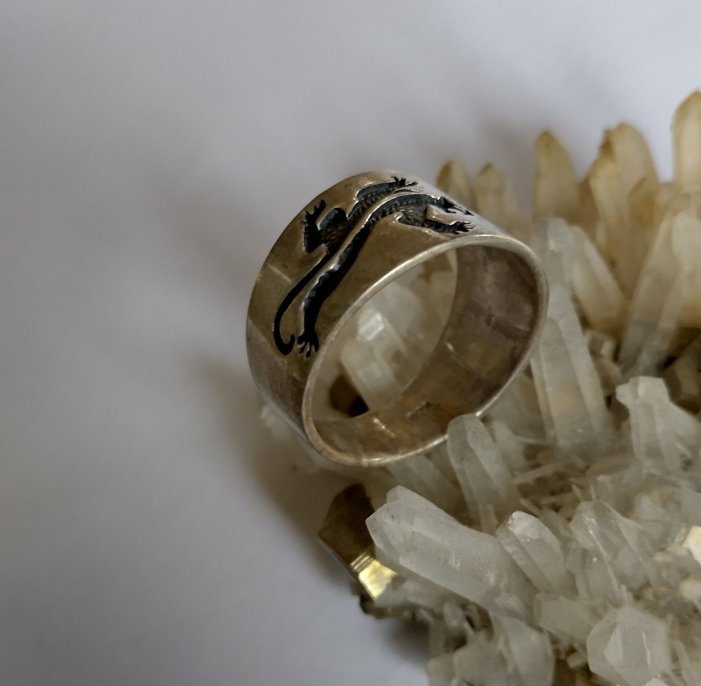 Anelli: RING MIT ECHSEN SILBER 925 DAUMENRING XL – Usato da Romanshorn venduto da Stubsinator 4
