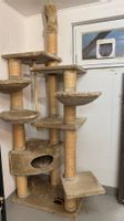 Katzenbaum *XXL-massiv*
