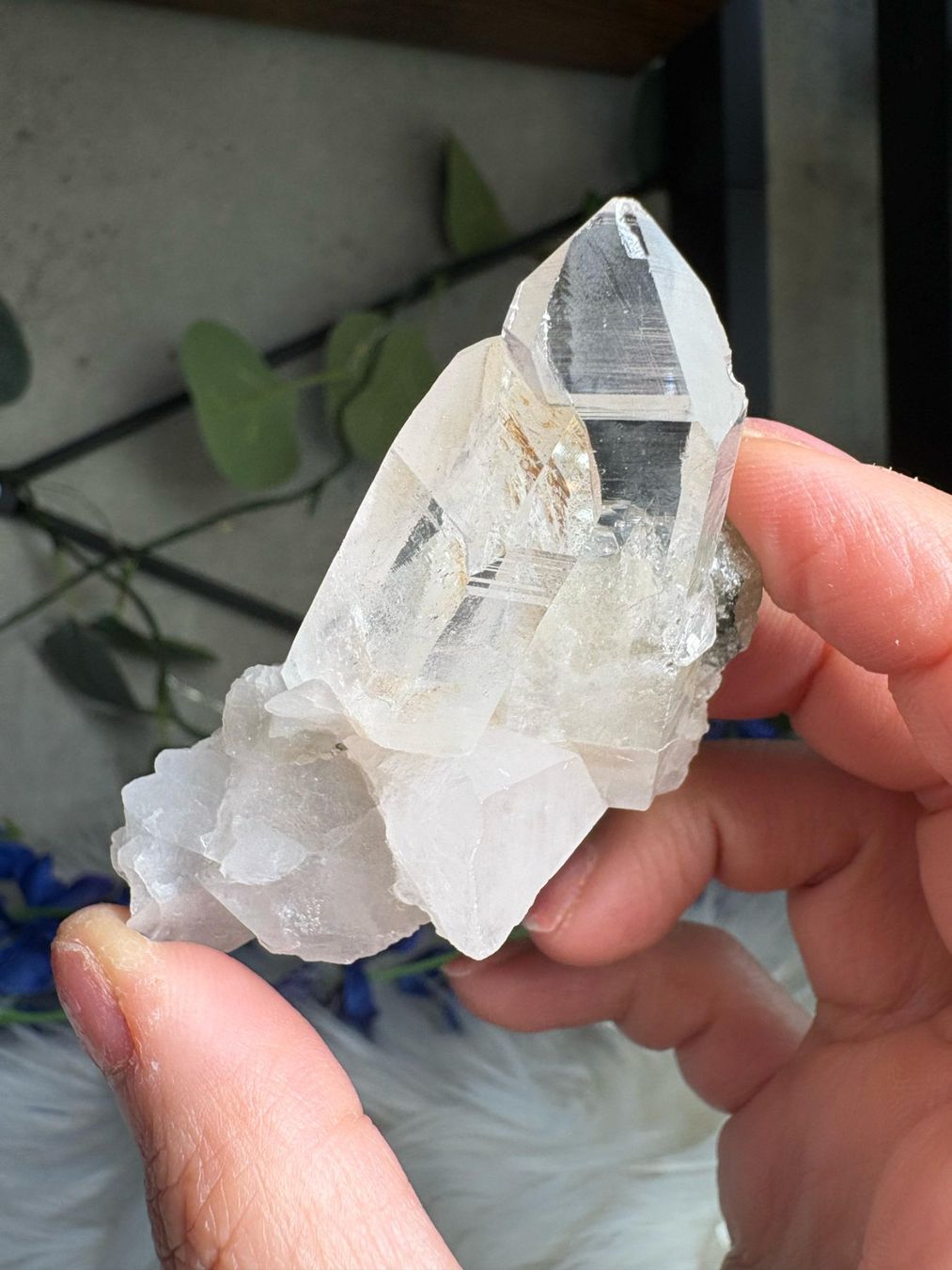 Minerali & Pietre curative: Himalaya-Quarz-Cluster – Nuovo (secondo la descrizione) da Neuheim venduto da m.hald 3