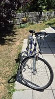 KTM Herrenvelo / Citybike