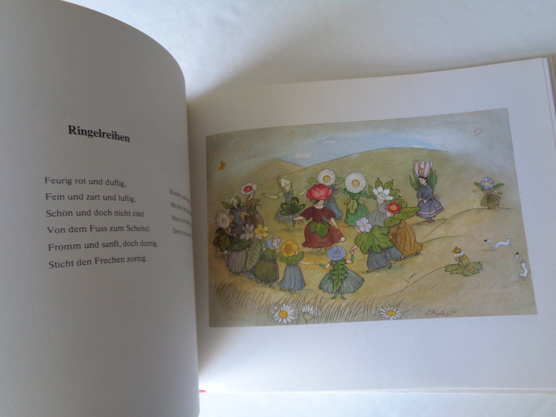Libri: Blumen Märchen von Ernst Kreidolf – Usato da Chur venduto da omonia 7