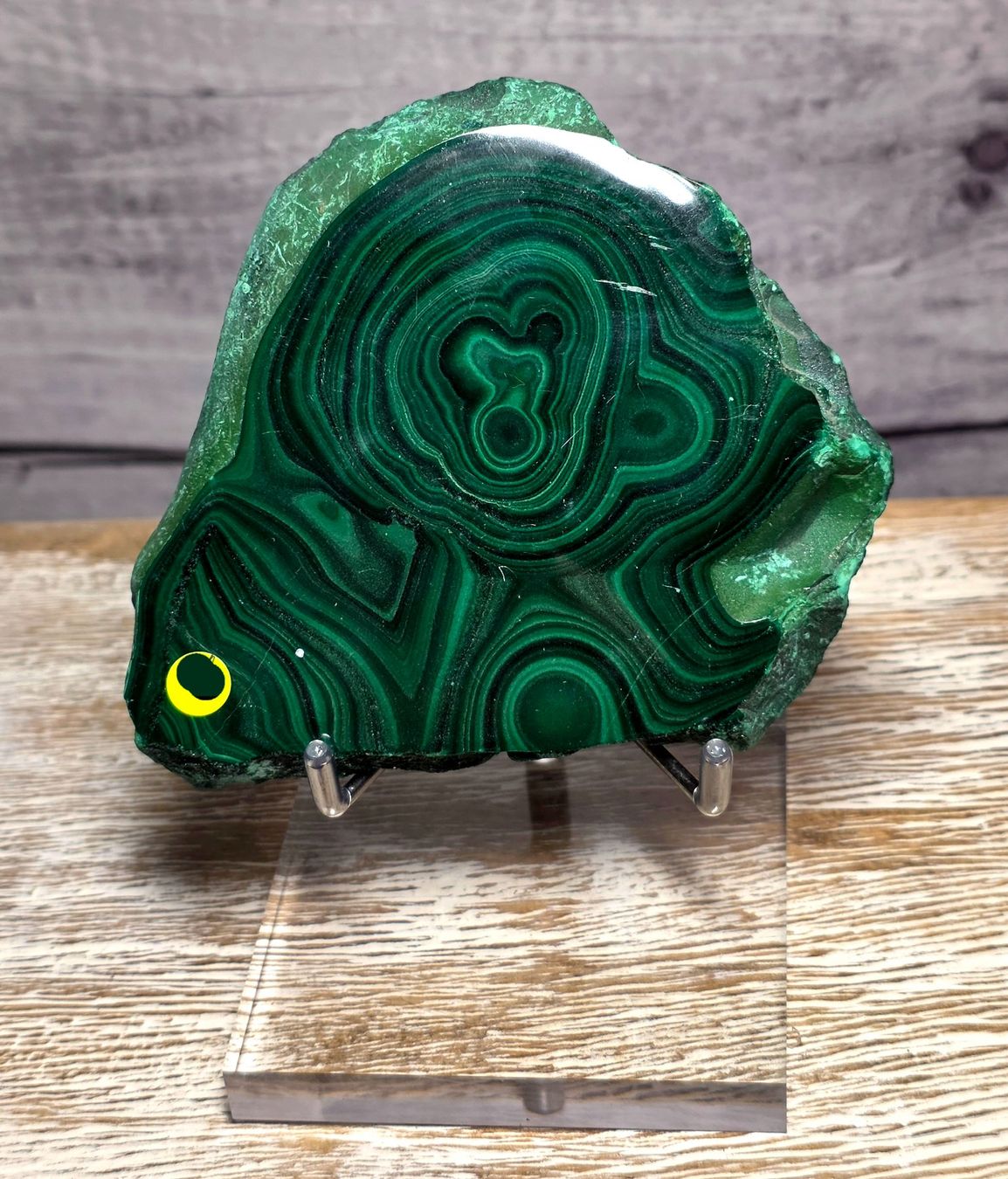 Minerali & Pietre curative: Malachit Scheibe auf Acryl Ständer 193g – Nuovo e nell'imballaggio originale da Matzingen venduto da Shay_Crystalz