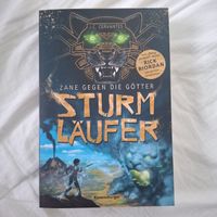 Buch Sturmläufer - Zane gegen die Götter J. C. Cervantes