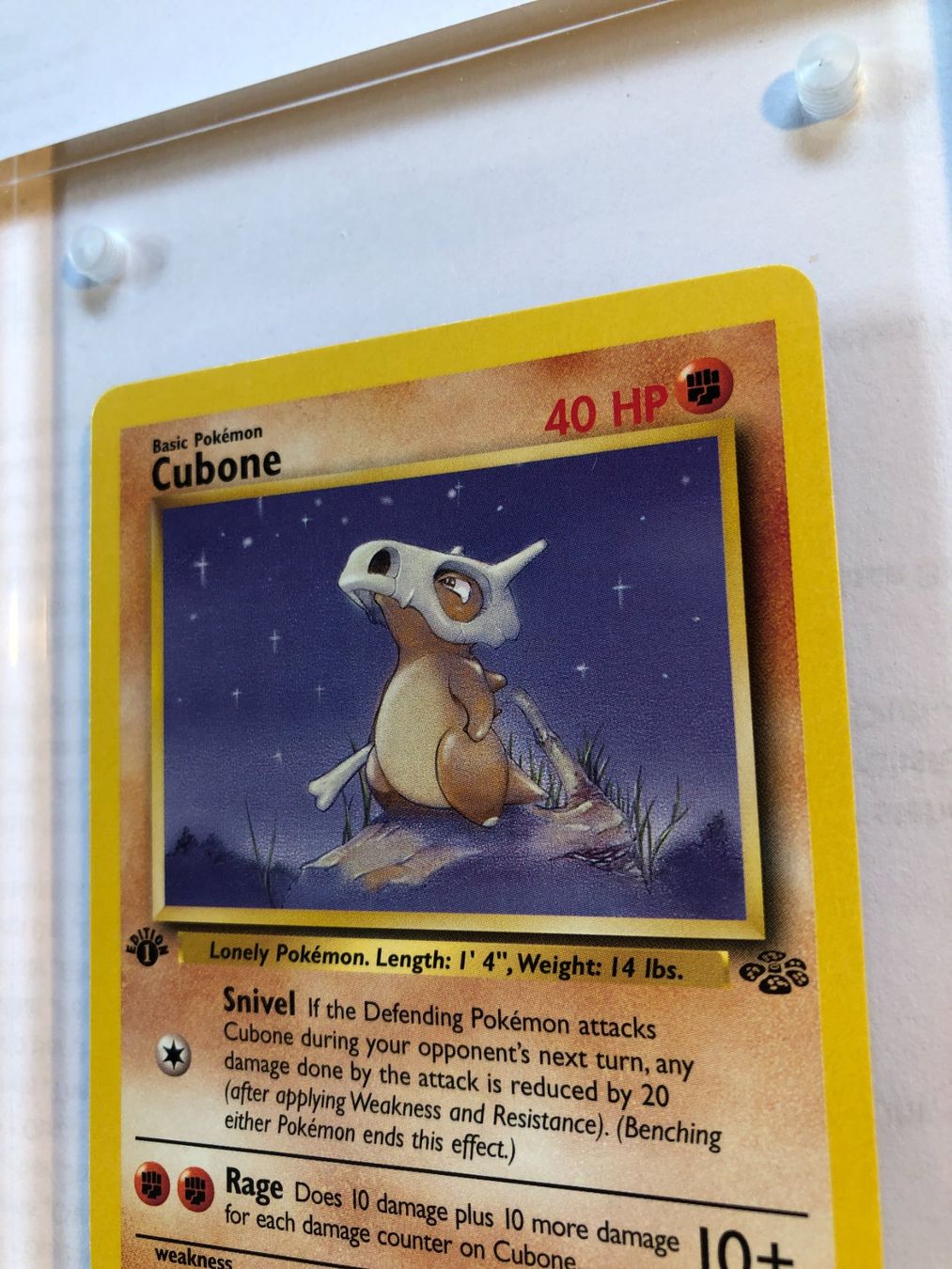 Carte collezionabili: Cubone 1st Jungle - MINT - ab 1.- – Usato da Giubiasco venduto da dan_pr8b 3